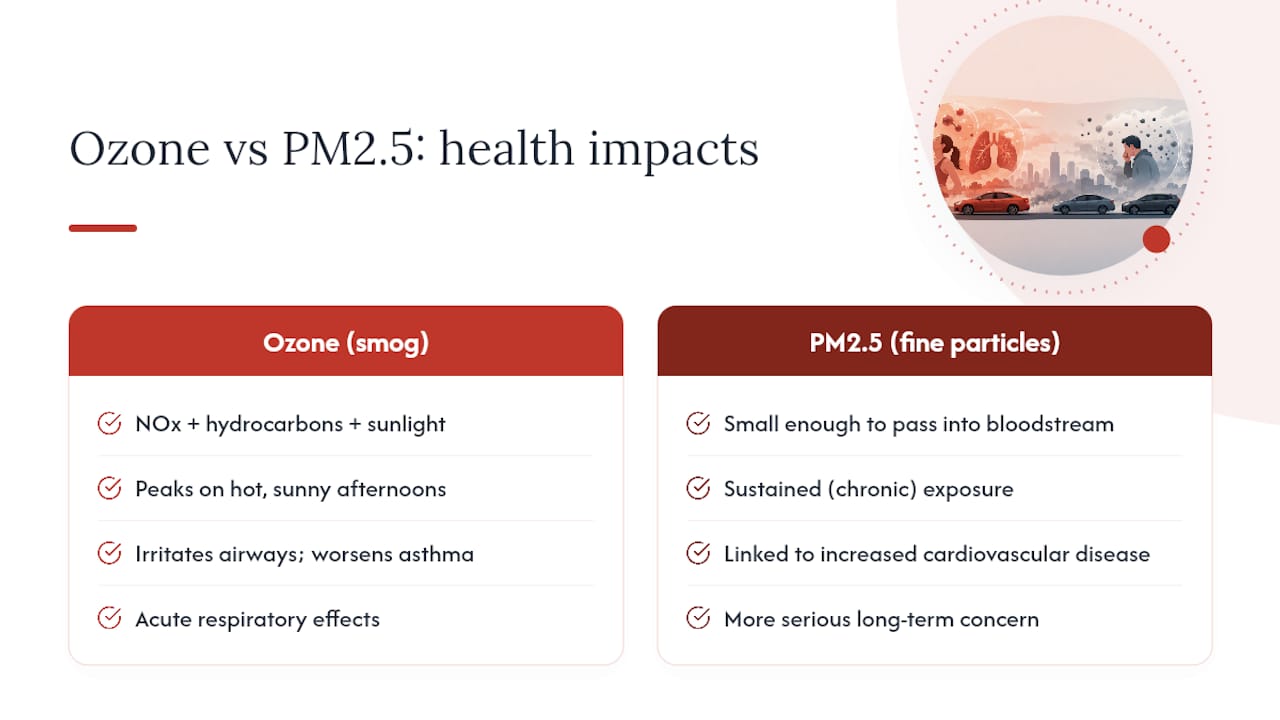 How Vehicle Emissions Affect Air Quality and Health — overview diagram