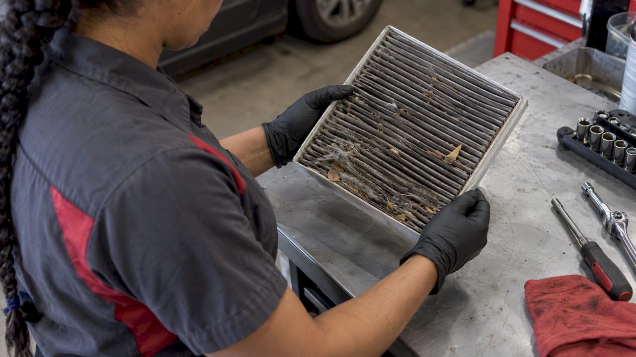 Technician examining saturated cabin air filter